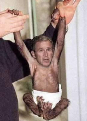 hahahaha